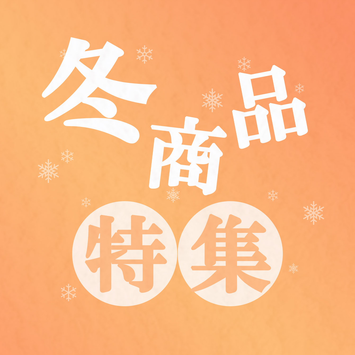 冬物特集