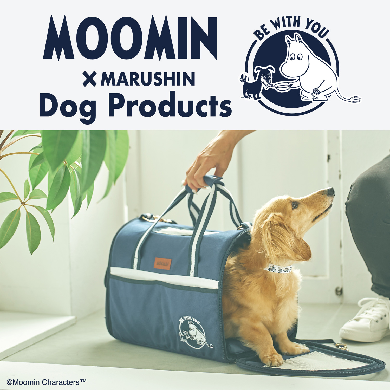 MOOMIN × MARUSHIN Dog Products